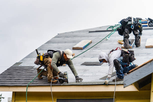 Professional Gutter Installation technician working in Magnolia, TX